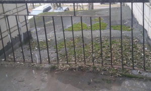 козырек старый сверху (2).jpg